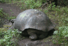 ecuador_galapagos.html