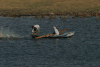 Beating Water Large Paddles