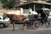 Horse Drawn Carriage