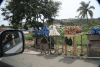 Roadside Stand Selling Partially