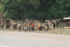 School Children Gathering Watch