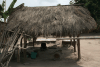 Work Areas Under Thatched