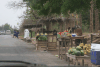 Roadside Vegetable Stand