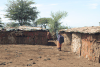 Inside Maasai Village Livestock